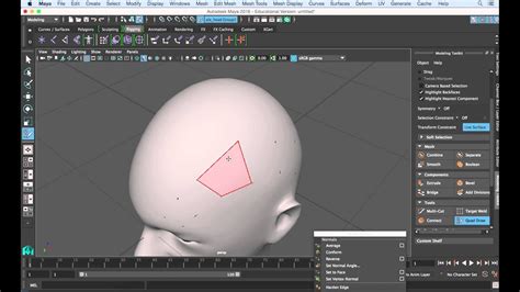 maya retopology tool.